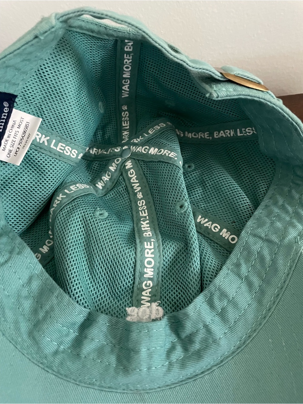 State of Mind Dog Person Baseball Cap - Teal NWT - Picture 4 of 4